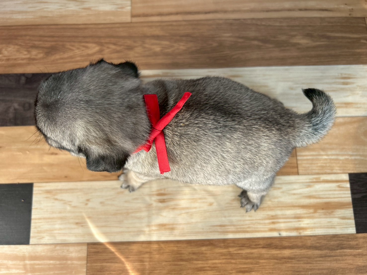 赤ちゃん写真3-3