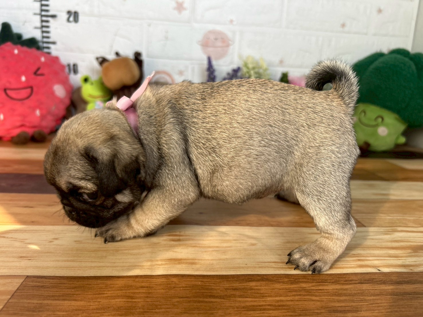 赤ちゃん写真3-2