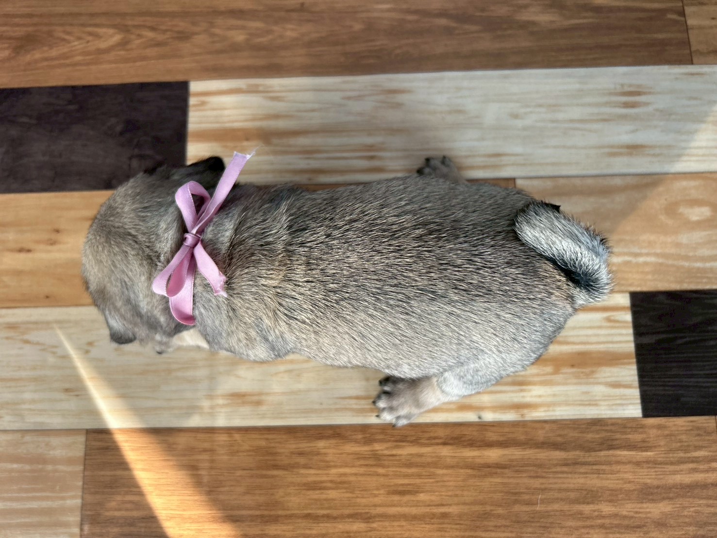 赤ちゃん写真3-3