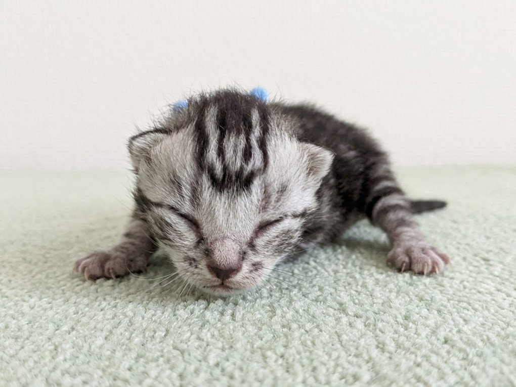 赤ちゃん写真1-1