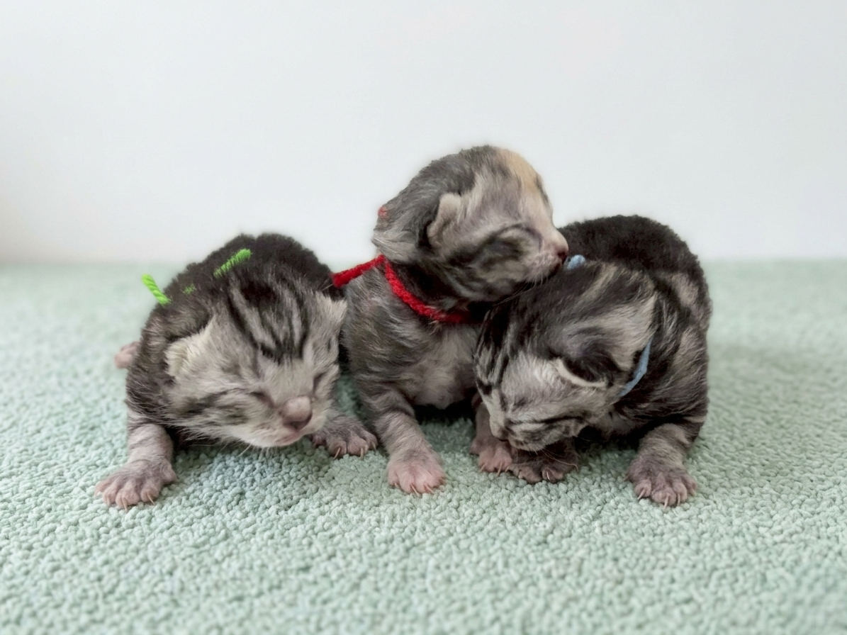 赤ちゃん写真1-3