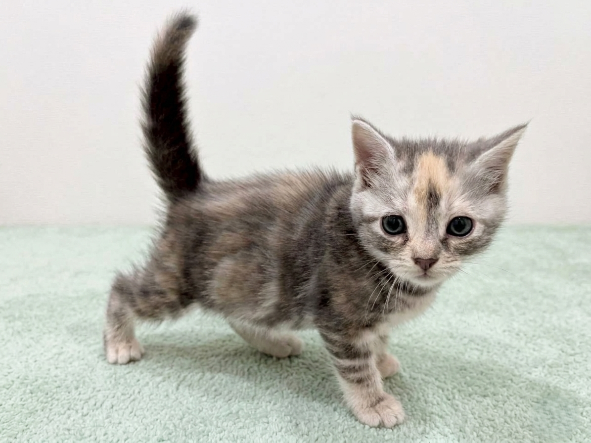 赤ちゃん写真2-3