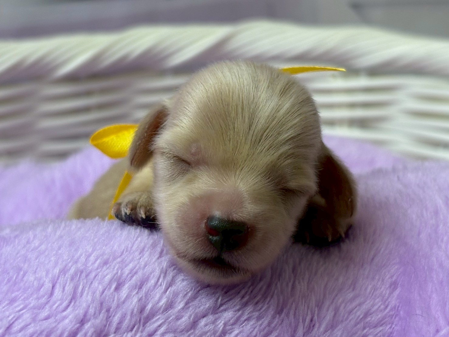 赤ちゃん写真1-1