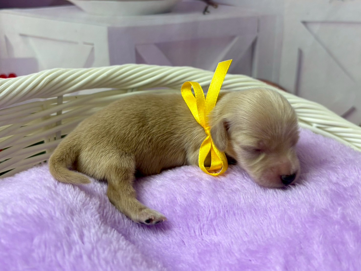 赤ちゃん写真1-2