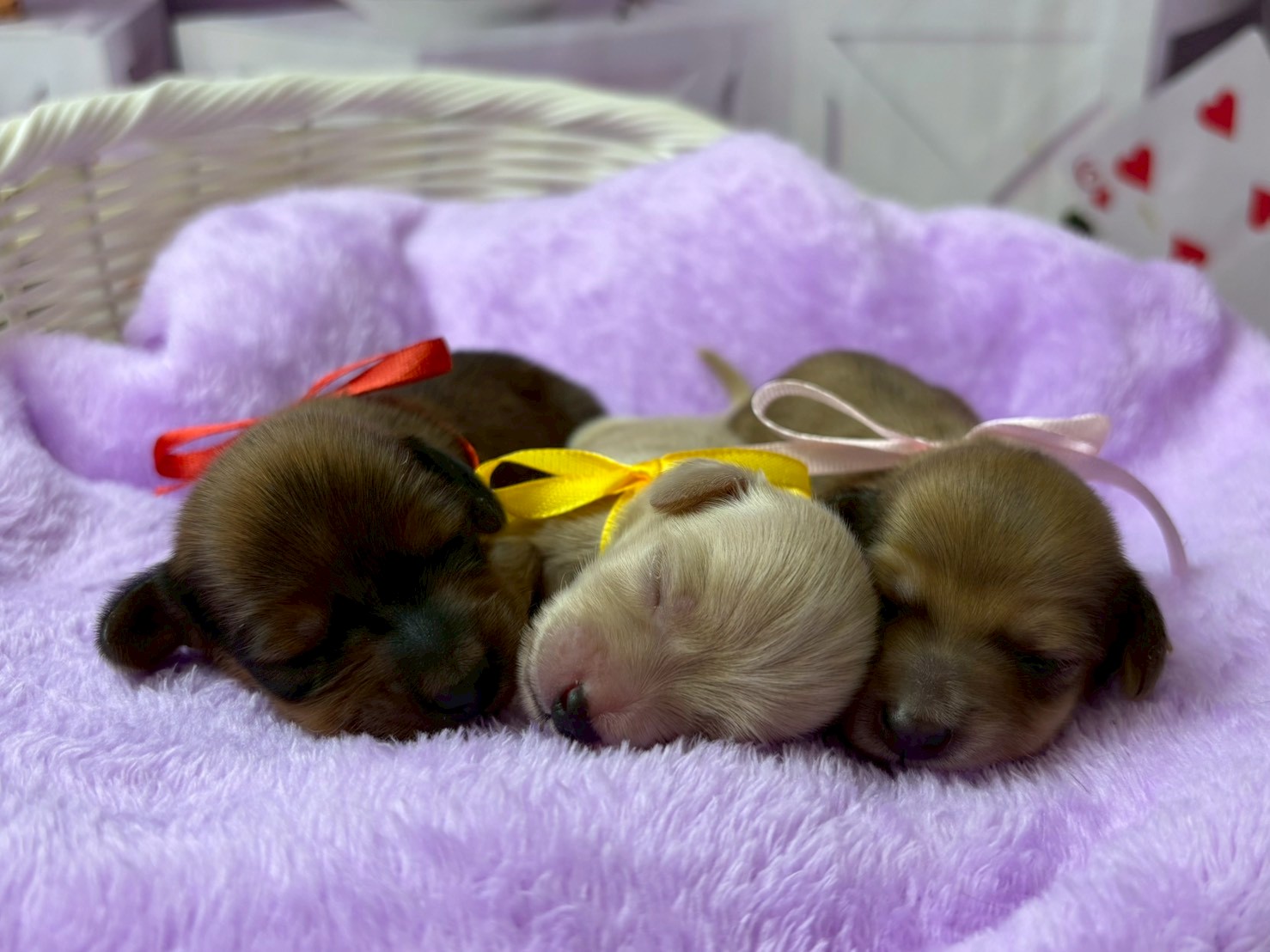 赤ちゃん写真1-3