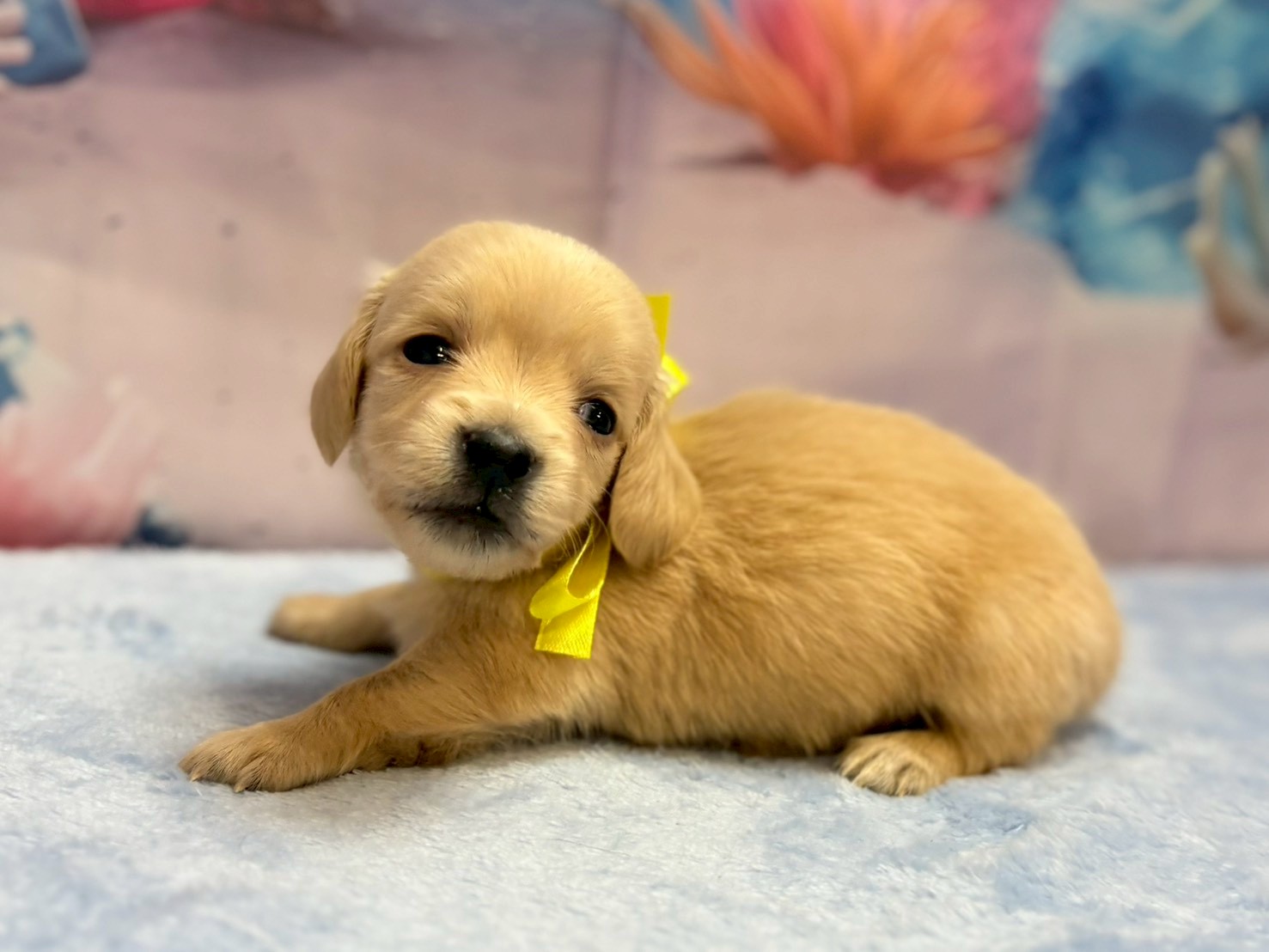 赤ちゃん写真2-2