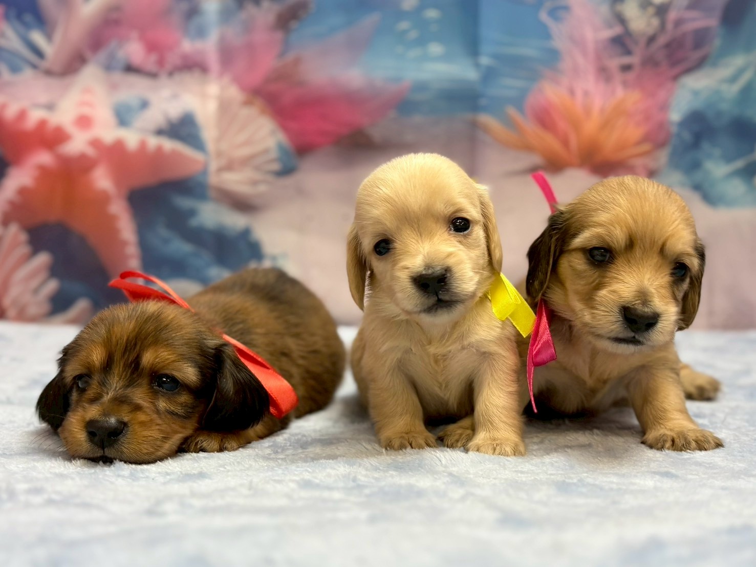 赤ちゃん写真2-3