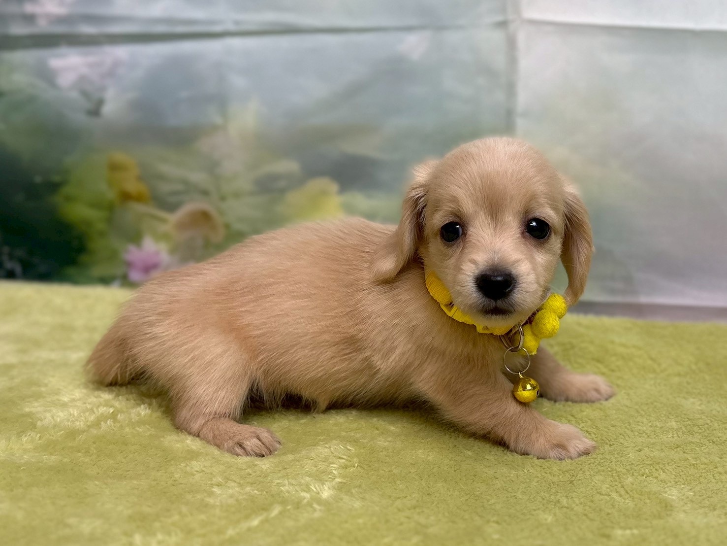 赤ちゃん写真3-2