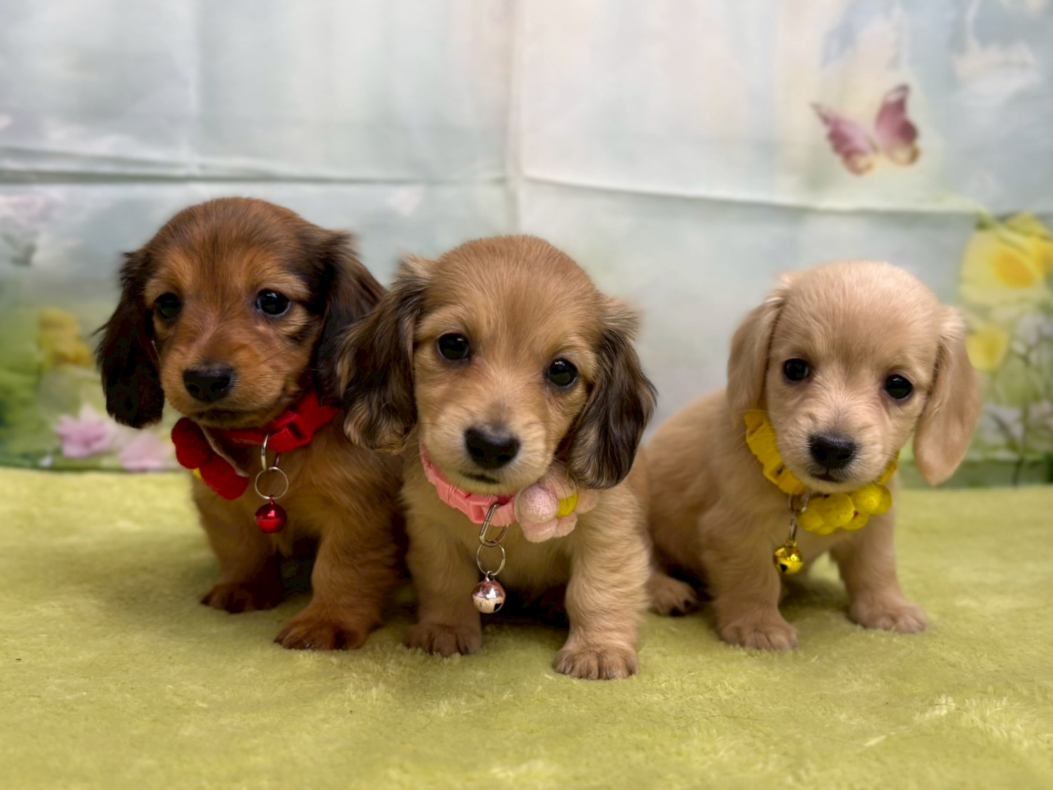 赤ちゃん写真3-3