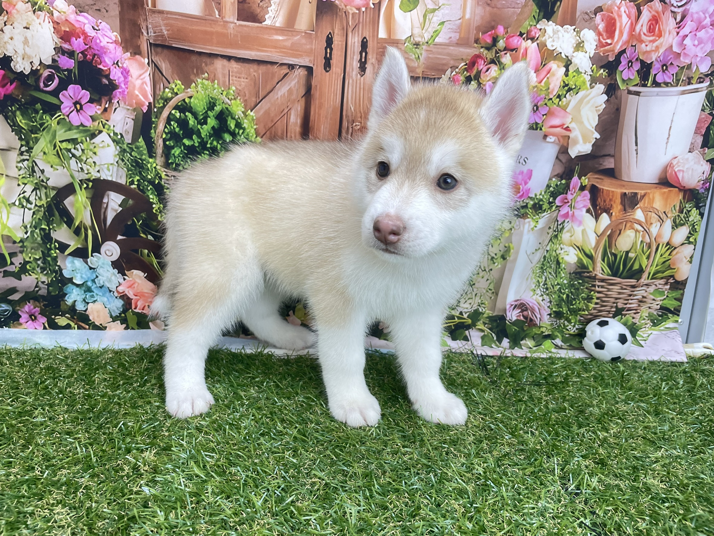 赤ちゃん写真2-1