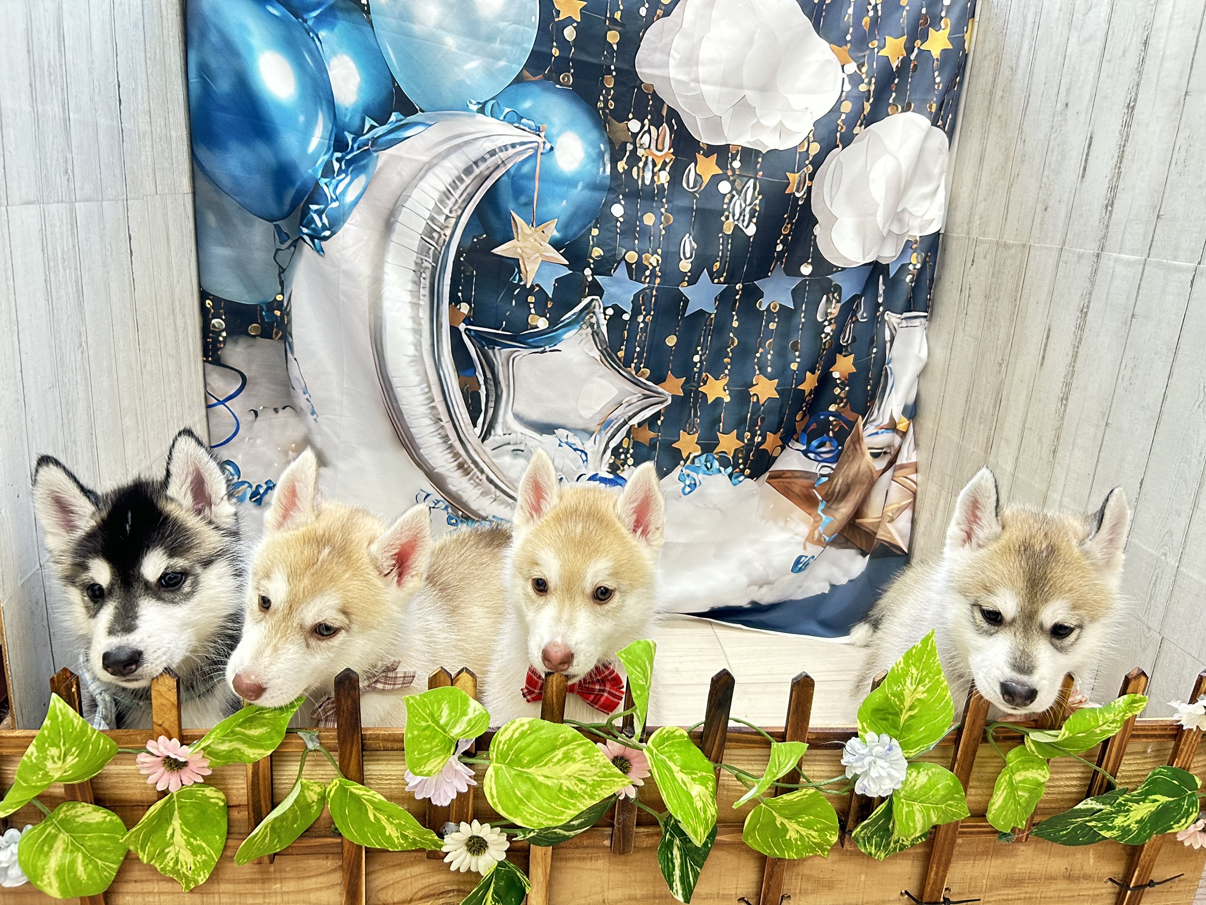 赤ちゃん写真3-3