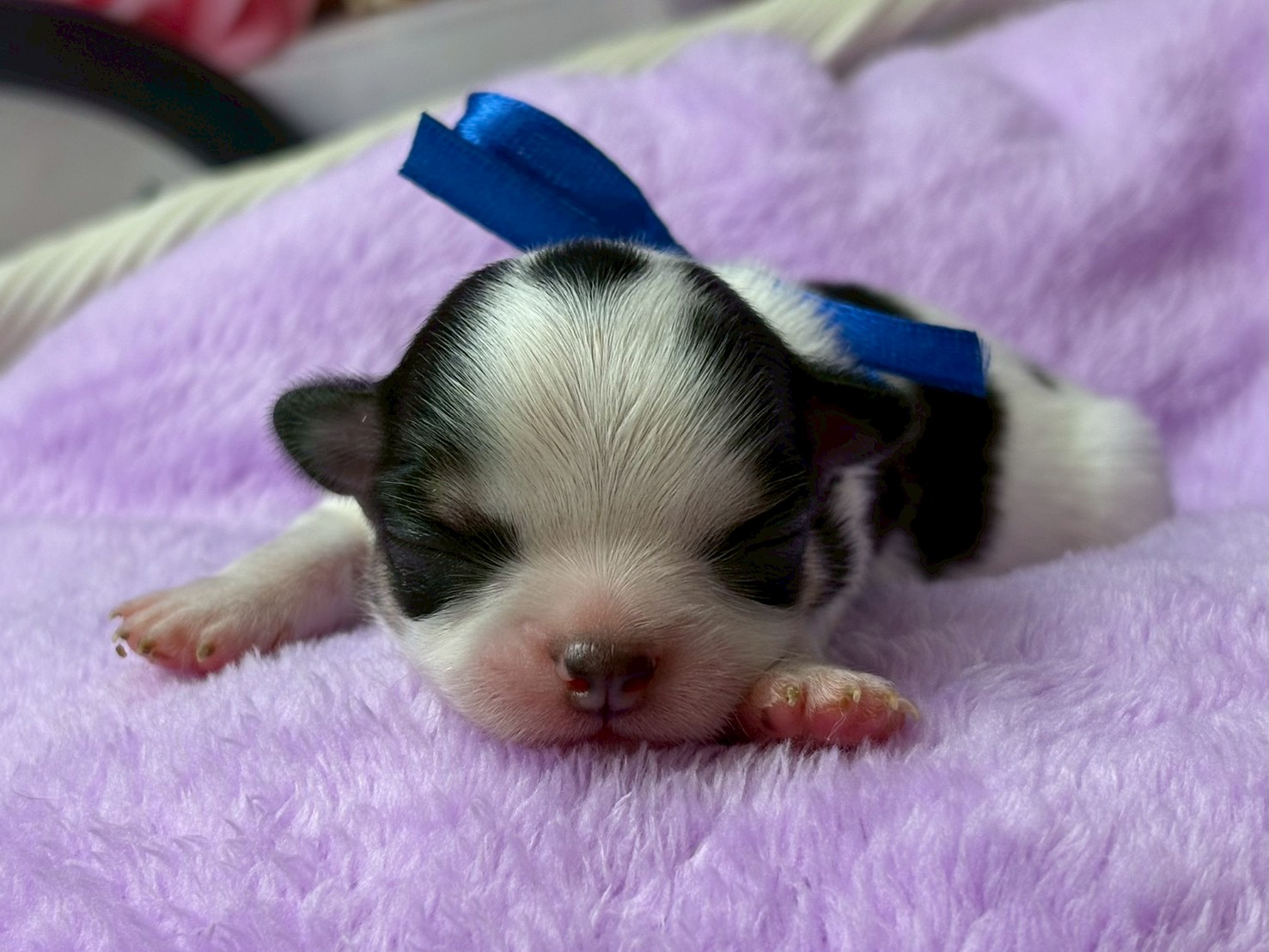 赤ちゃん写真1-1