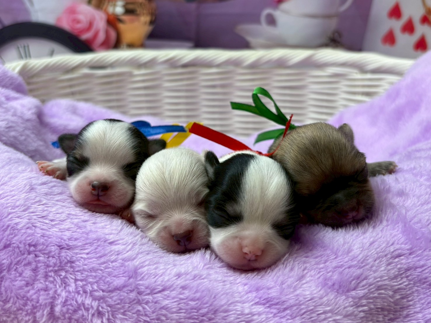 赤ちゃん写真1-3