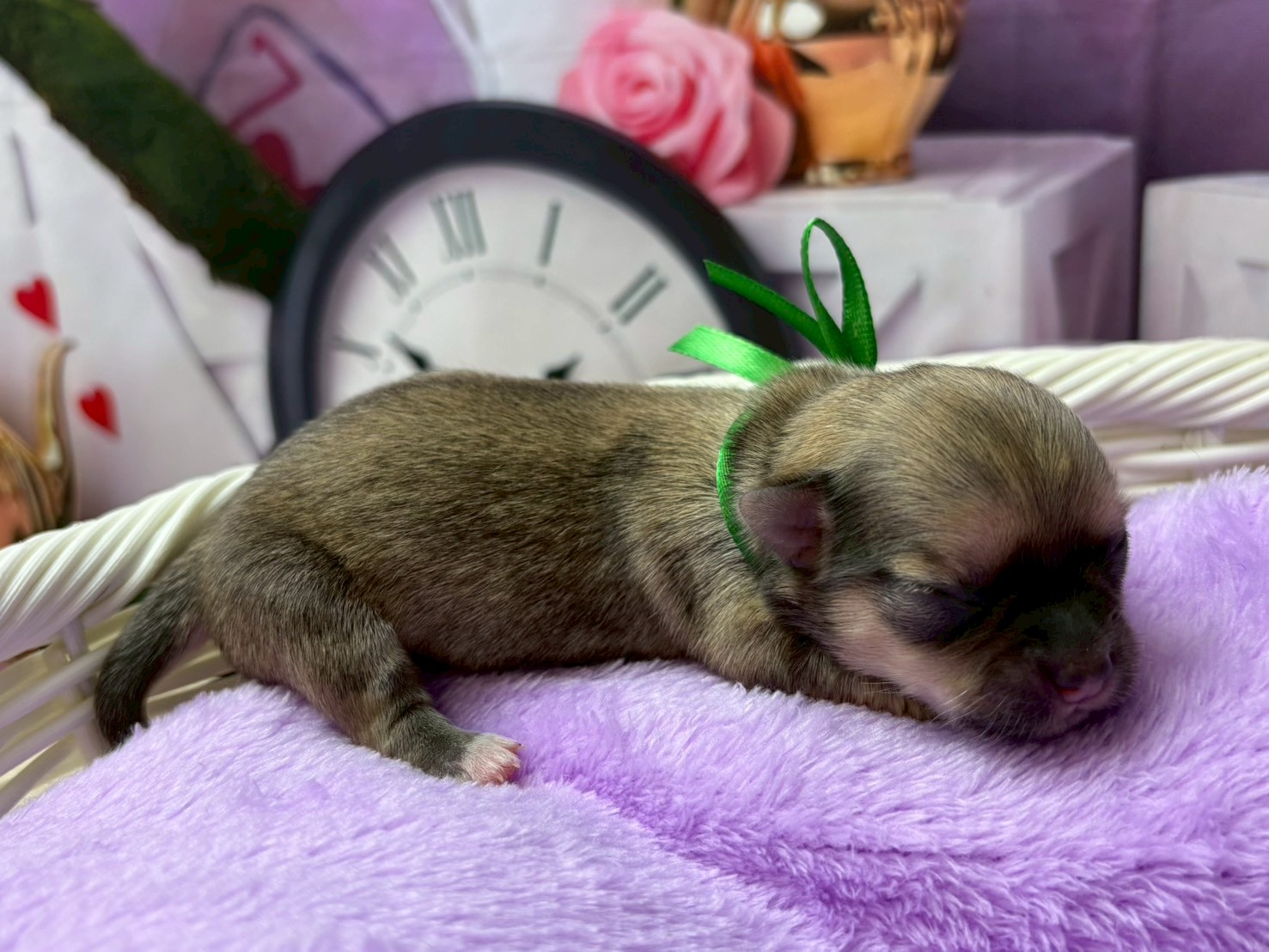 赤ちゃん写真1-2