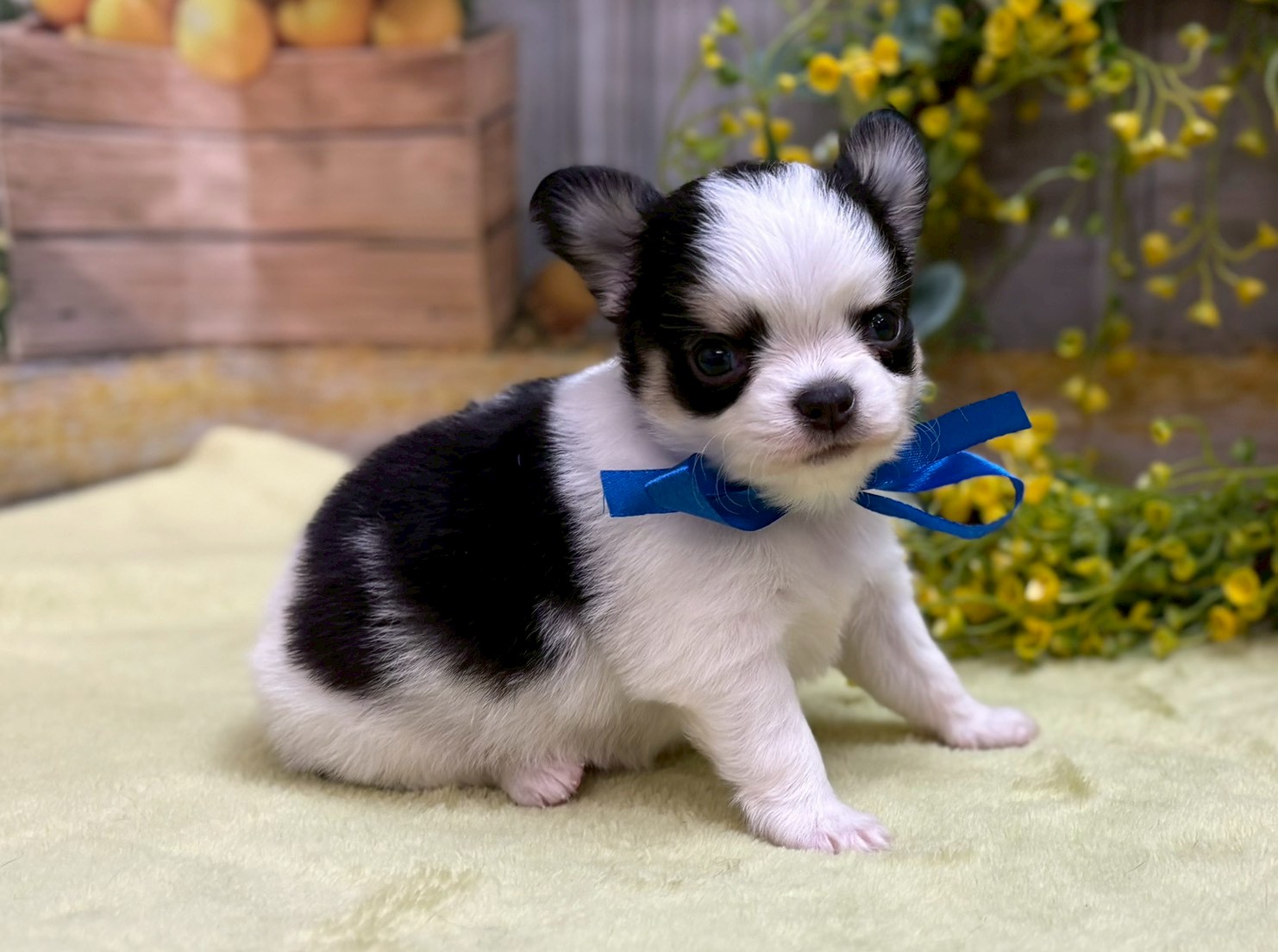 赤ちゃん写真2-2