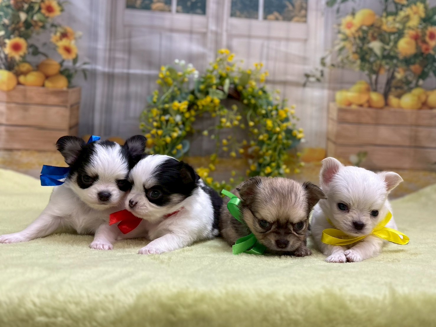 赤ちゃん写真2-3