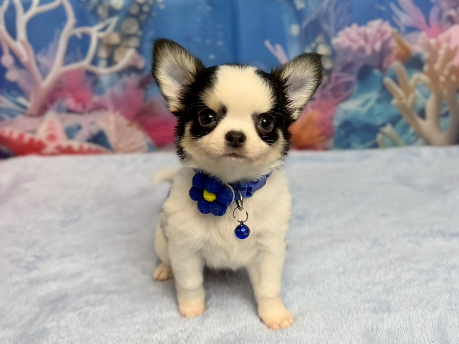 赤ちゃん写真3-1