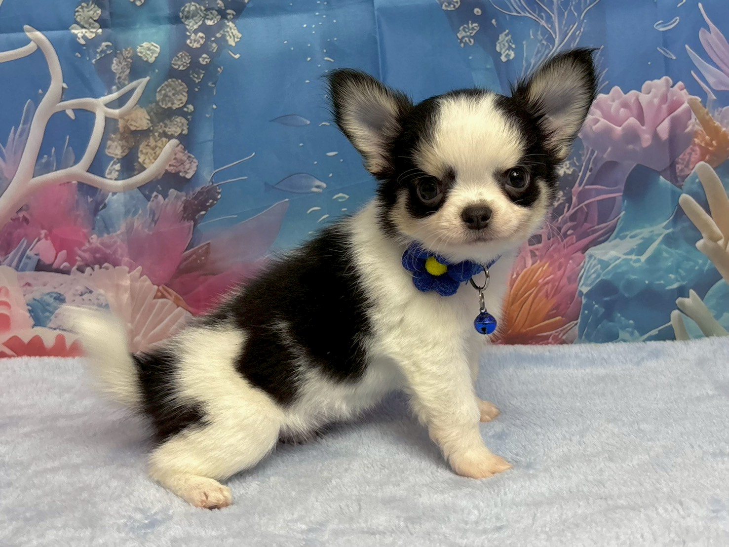 赤ちゃん写真3-2