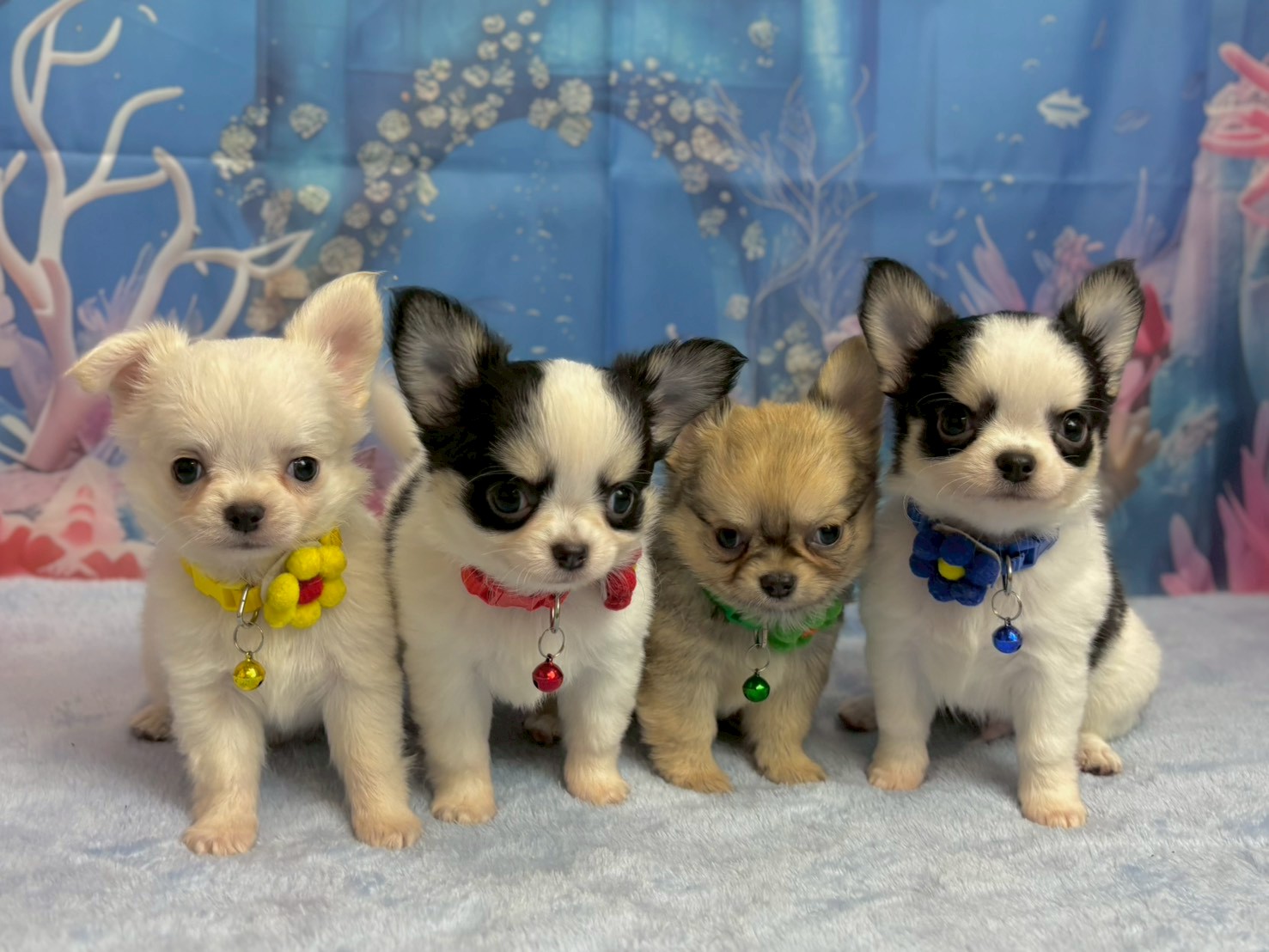 赤ちゃん写真3-3