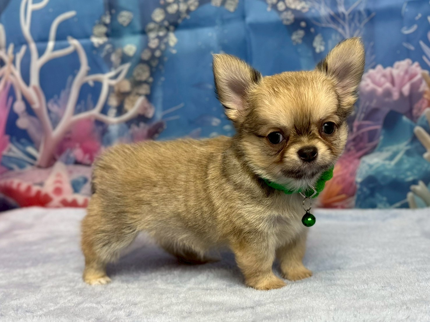 赤ちゃん写真3-2