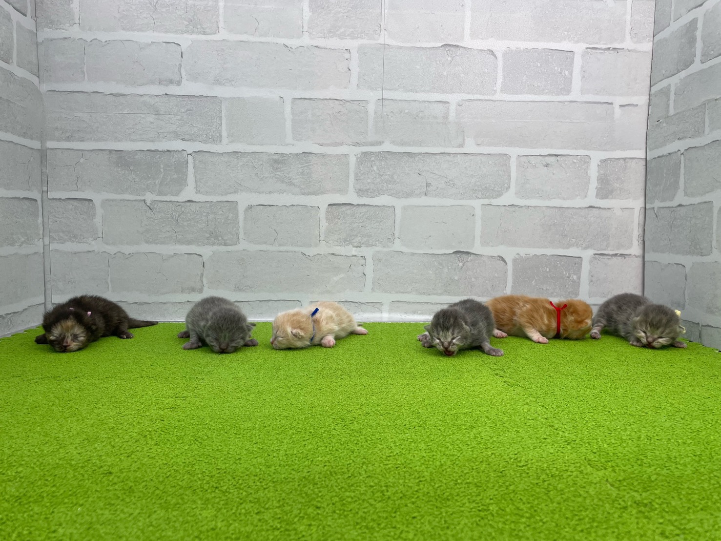 赤ちゃん写真1-3