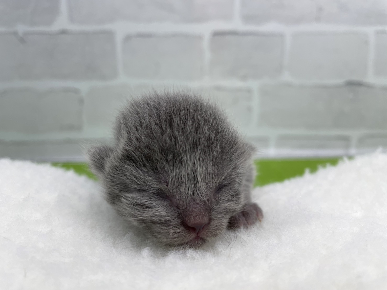 赤ちゃん写真1-1