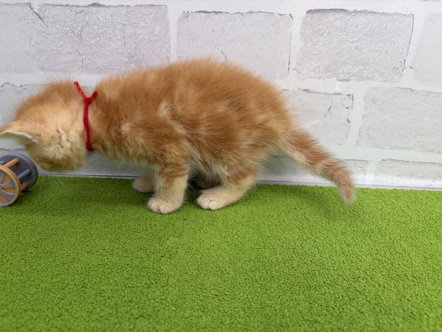 赤ちゃん写真2-2