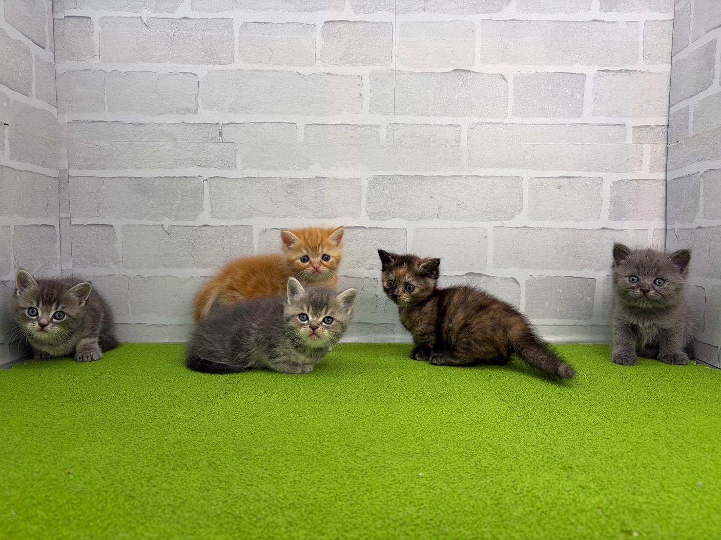 赤ちゃん写真2-3