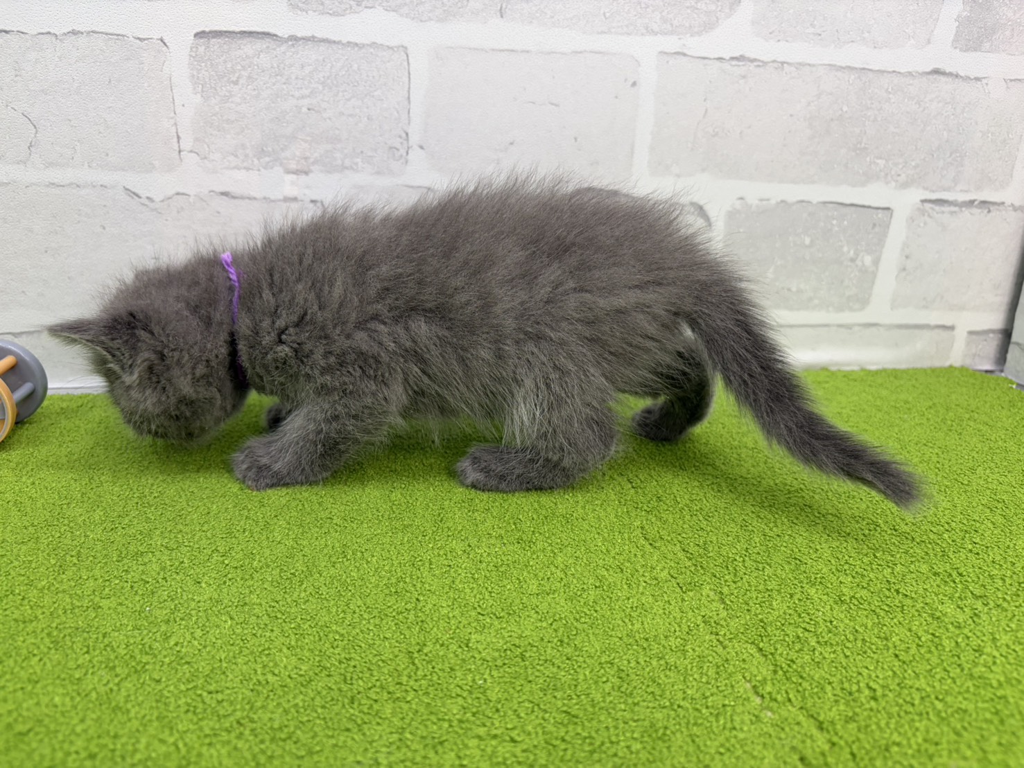 赤ちゃん写真2-2