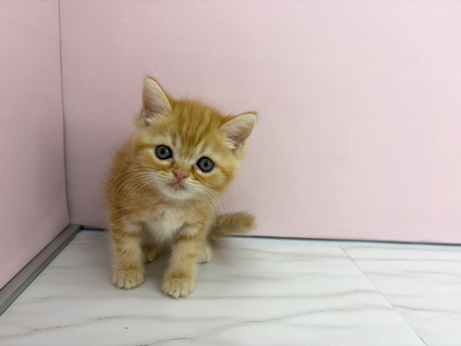 赤ちゃん写真3-1