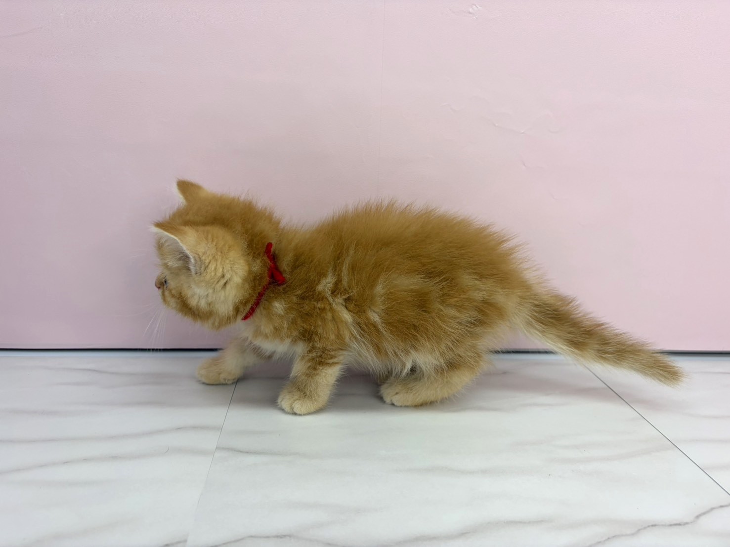 赤ちゃん写真3-2