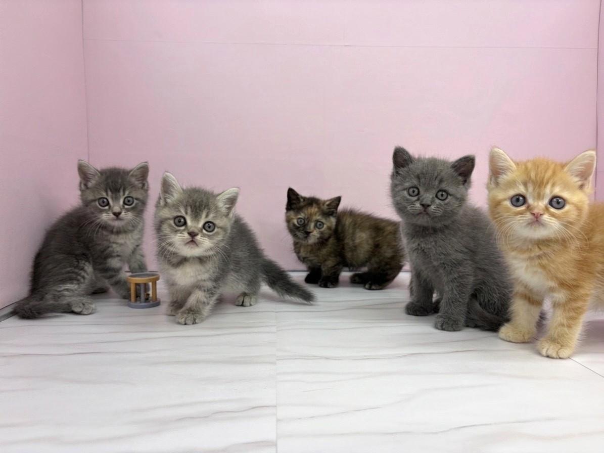 赤ちゃん写真3-3