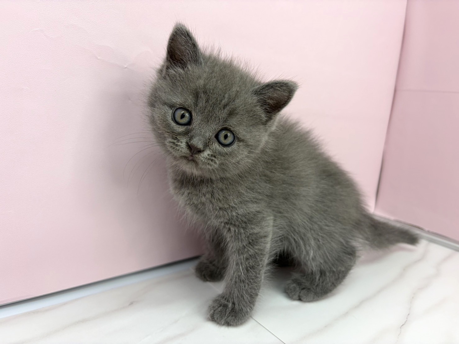 赤ちゃん写真3-1