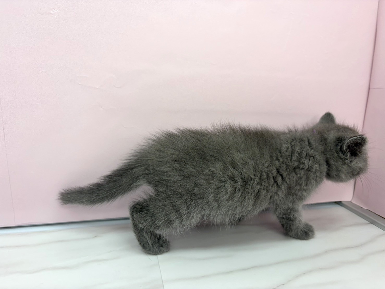 赤ちゃん写真3-2