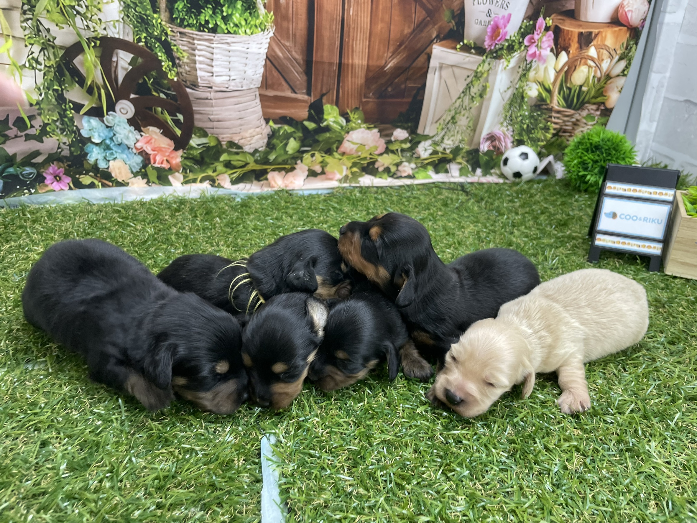 赤ちゃん写真1-3