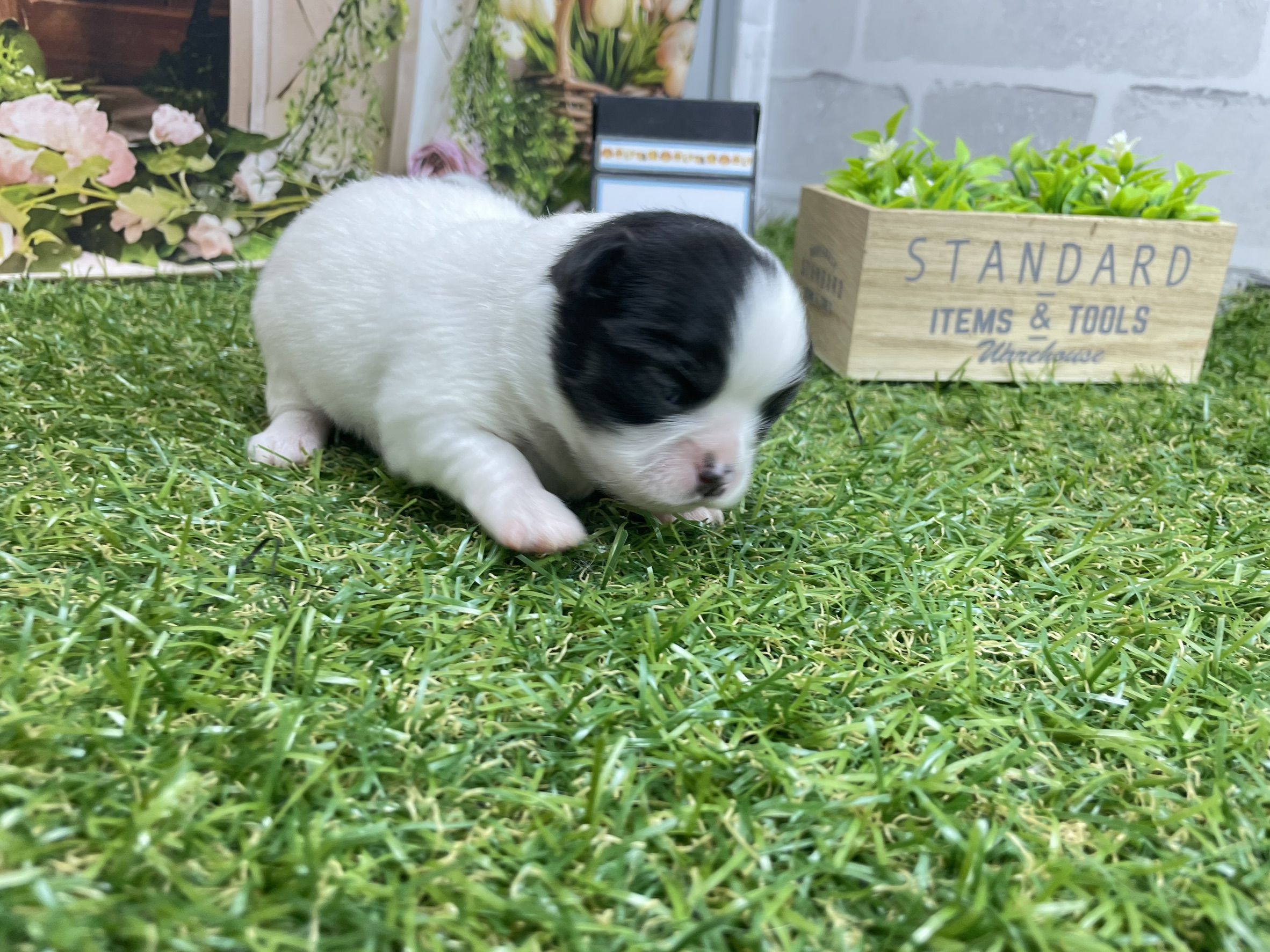赤ちゃん写真1-2
