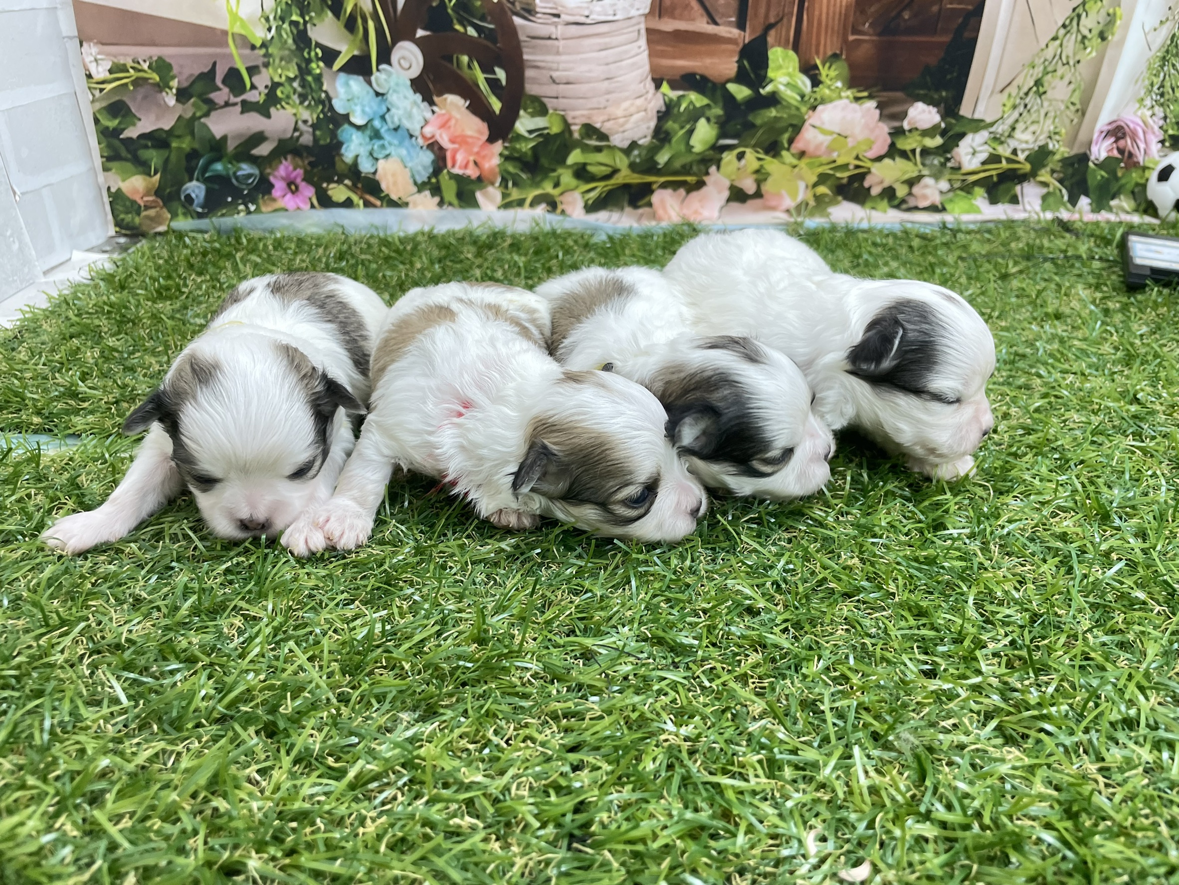 赤ちゃん写真1-3