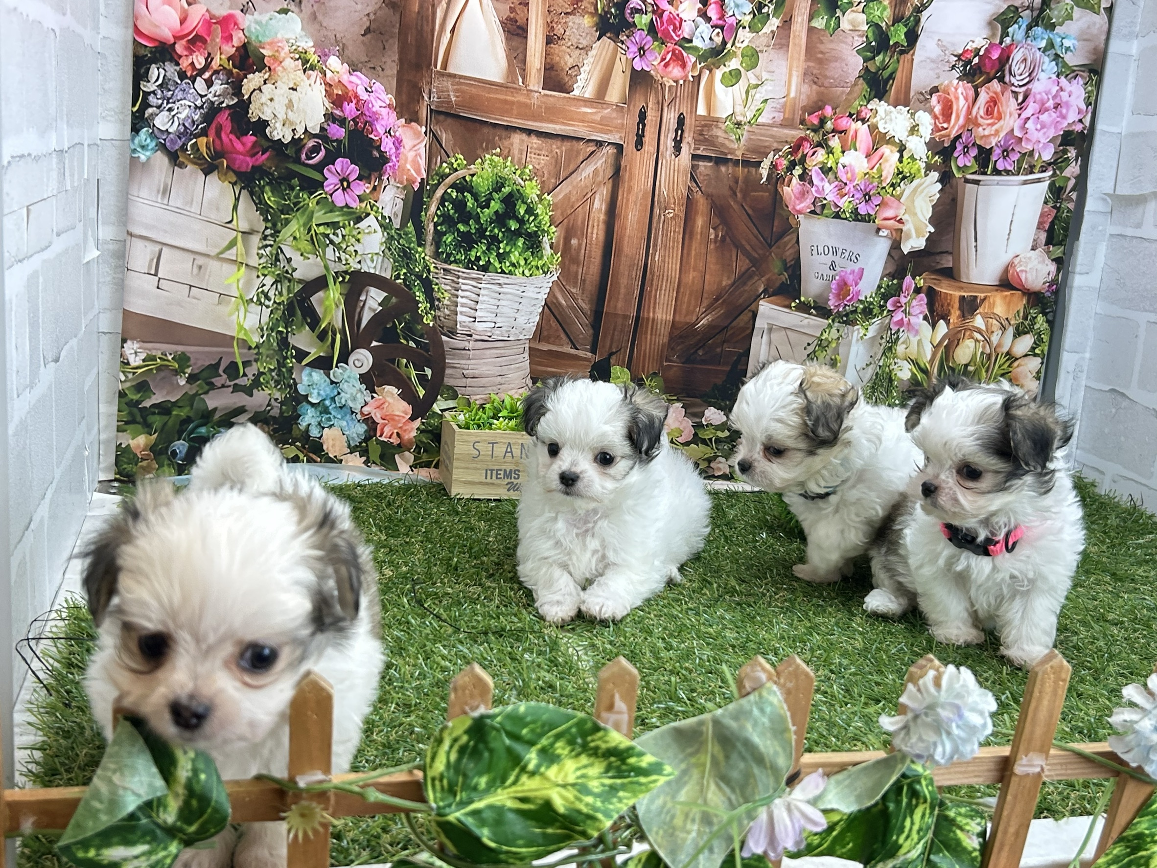 赤ちゃん写真3-3