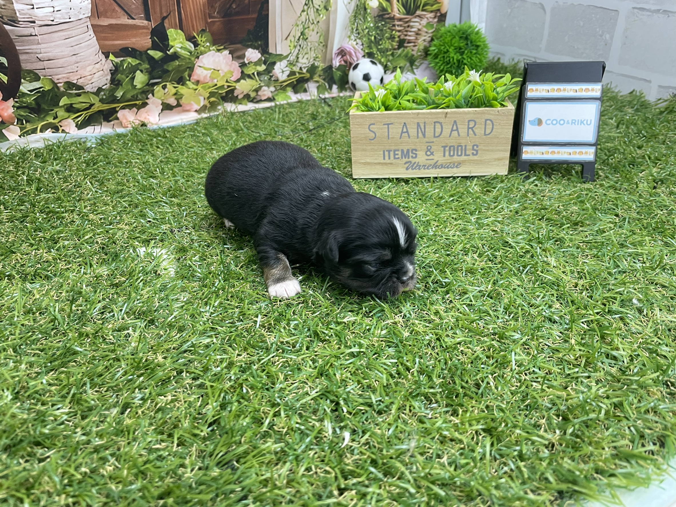 赤ちゃん写真1-2