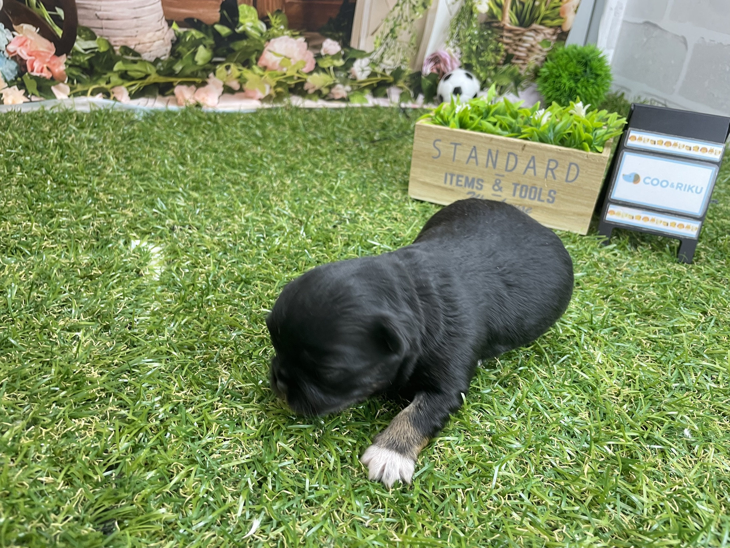 赤ちゃん写真1-2