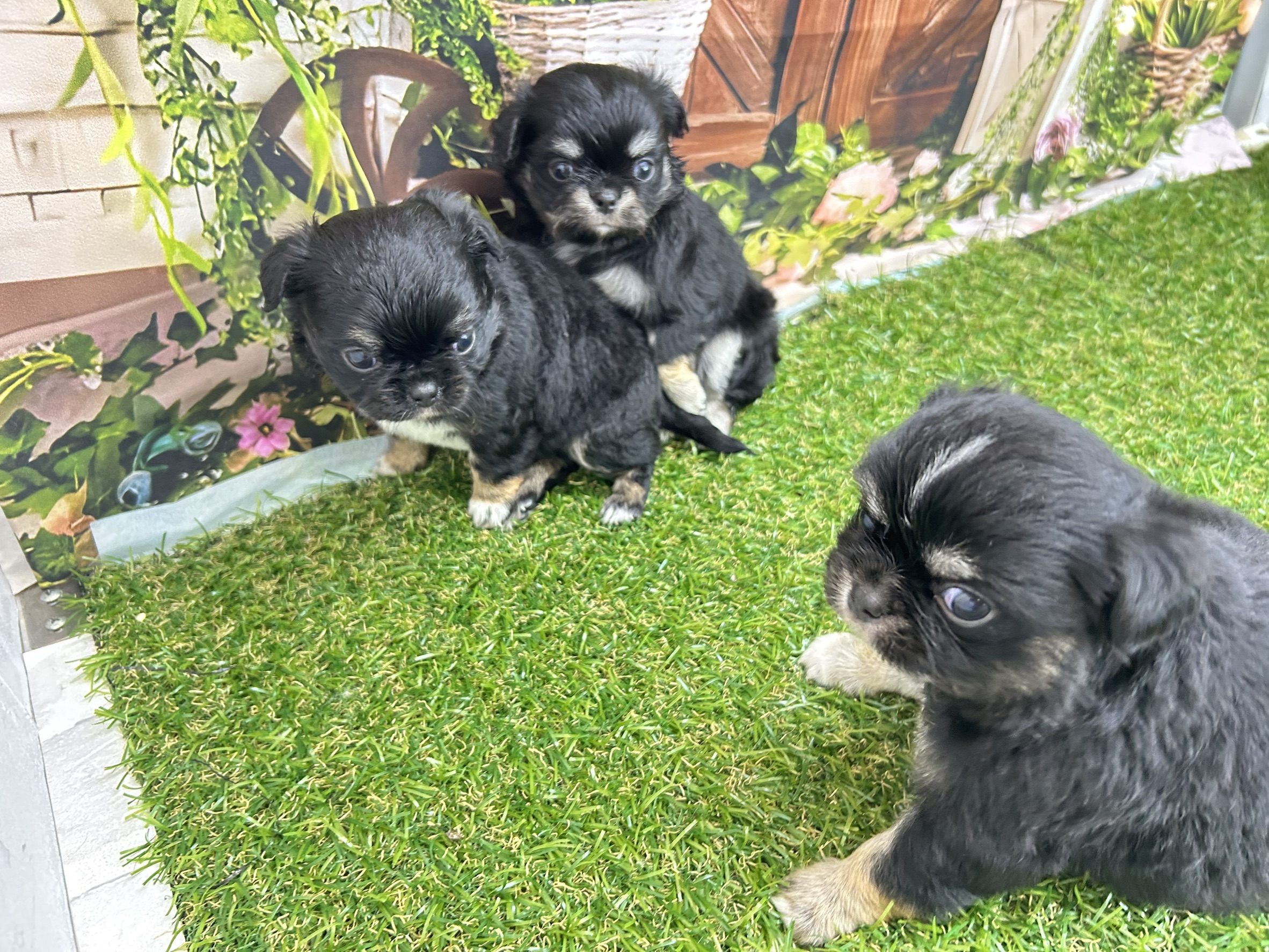 赤ちゃん写真2-3