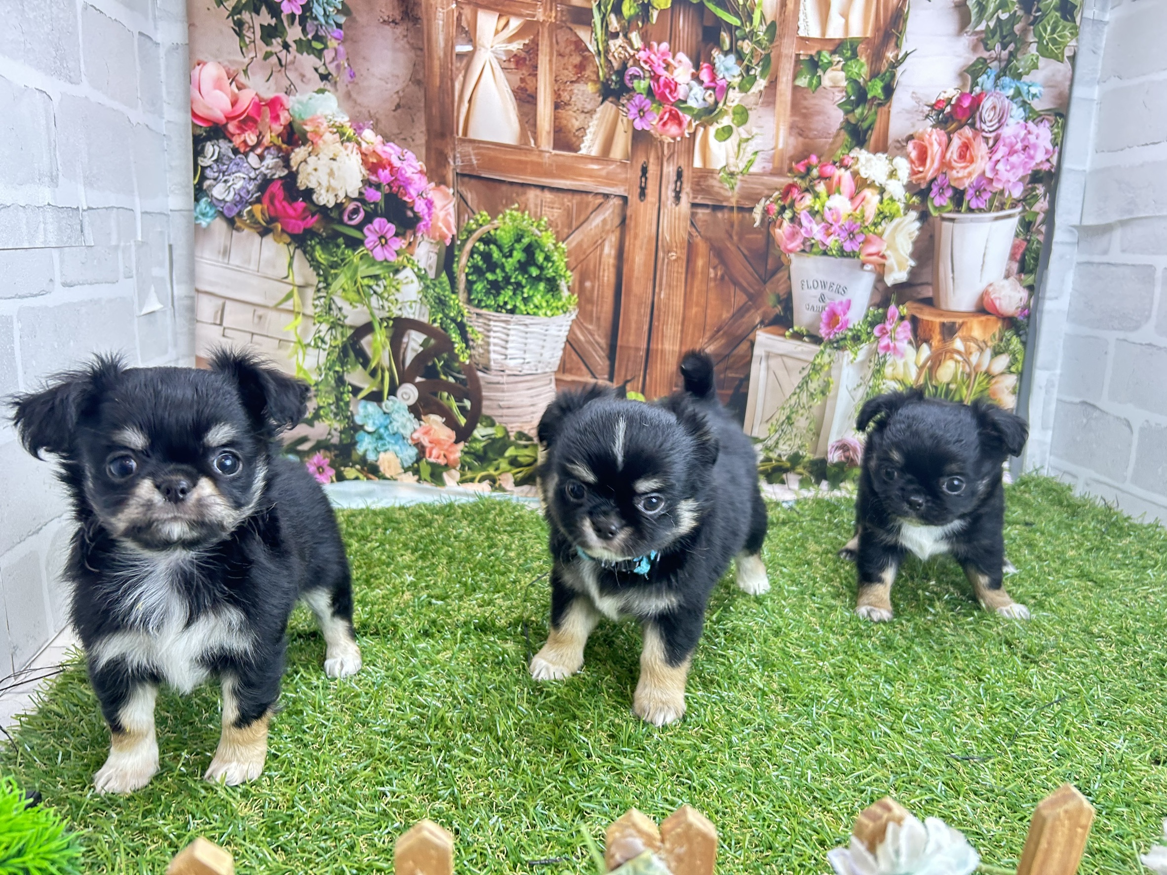 赤ちゃん写真3-3