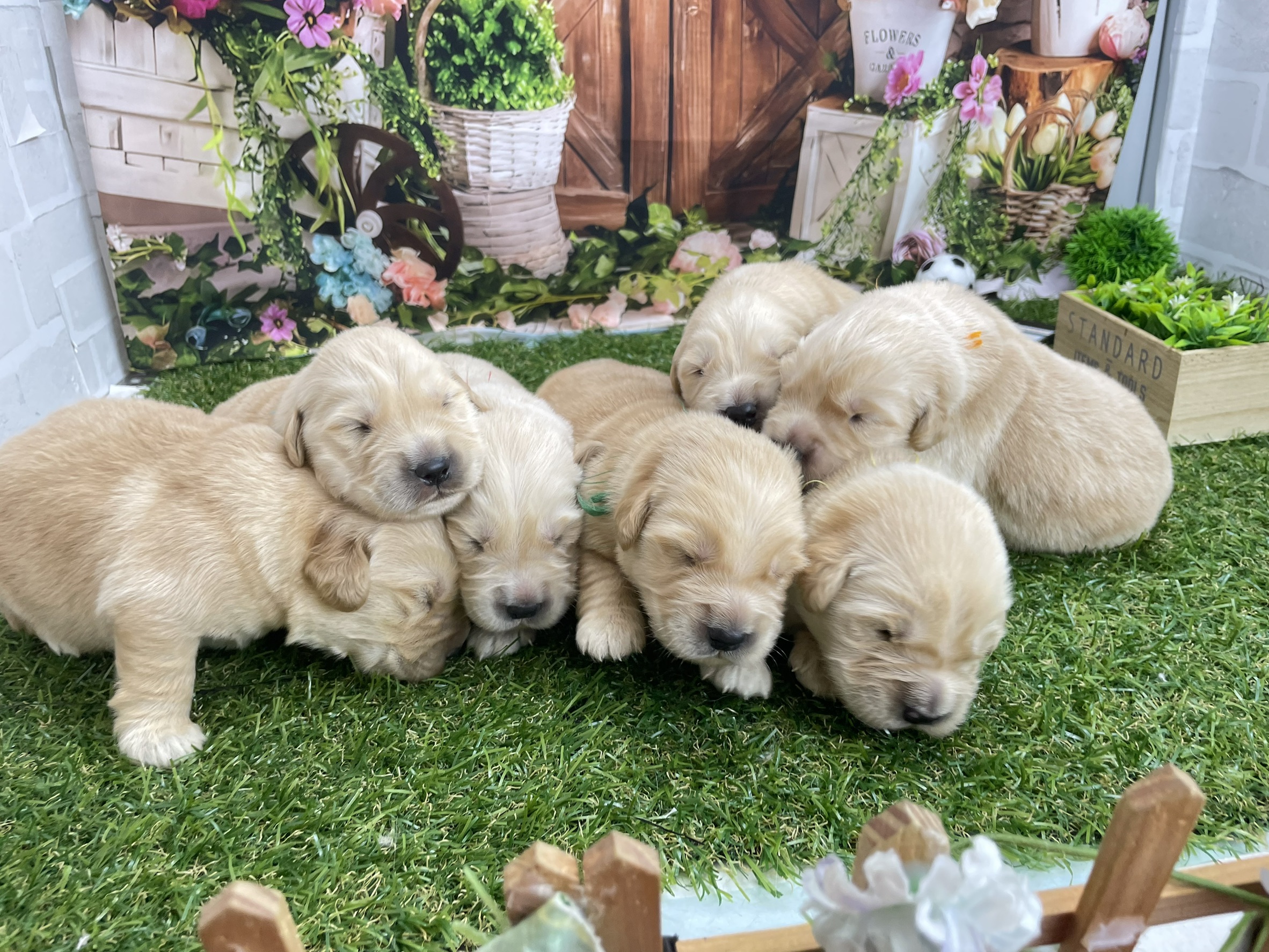 赤ちゃん写真1-3