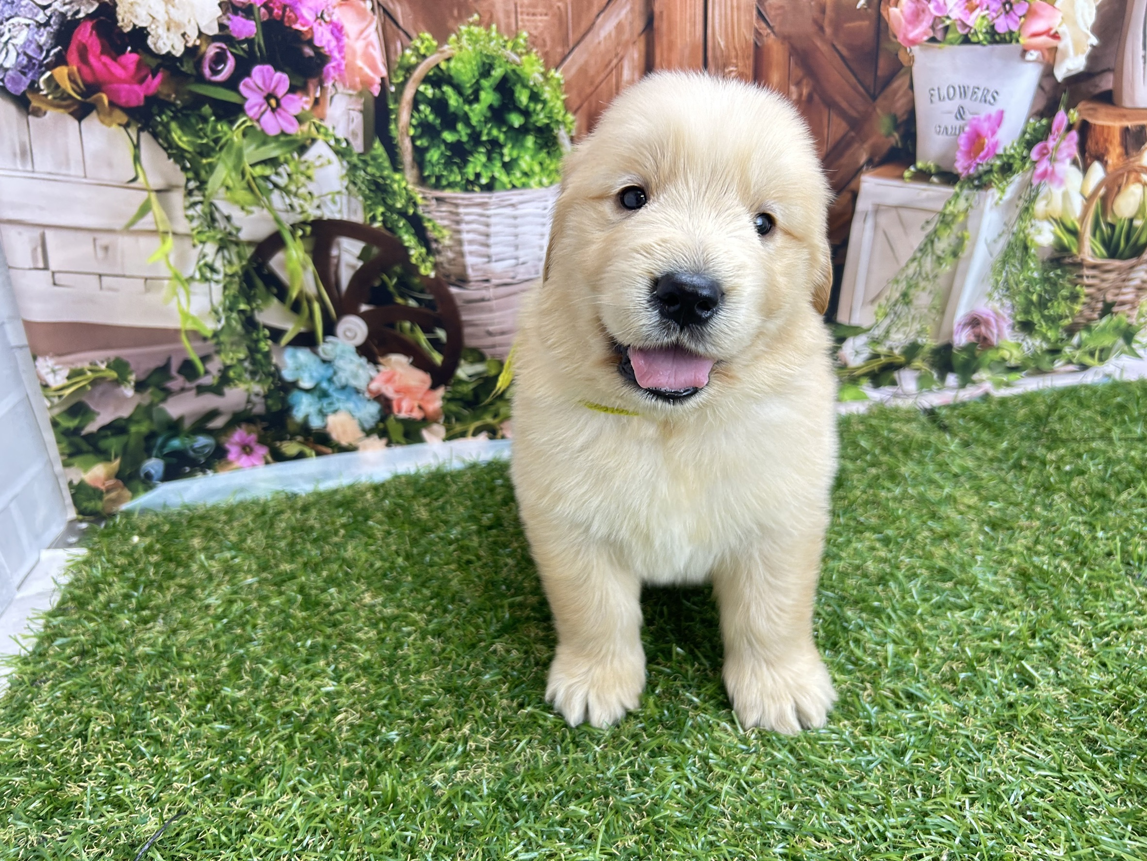 赤ちゃん写真2-1