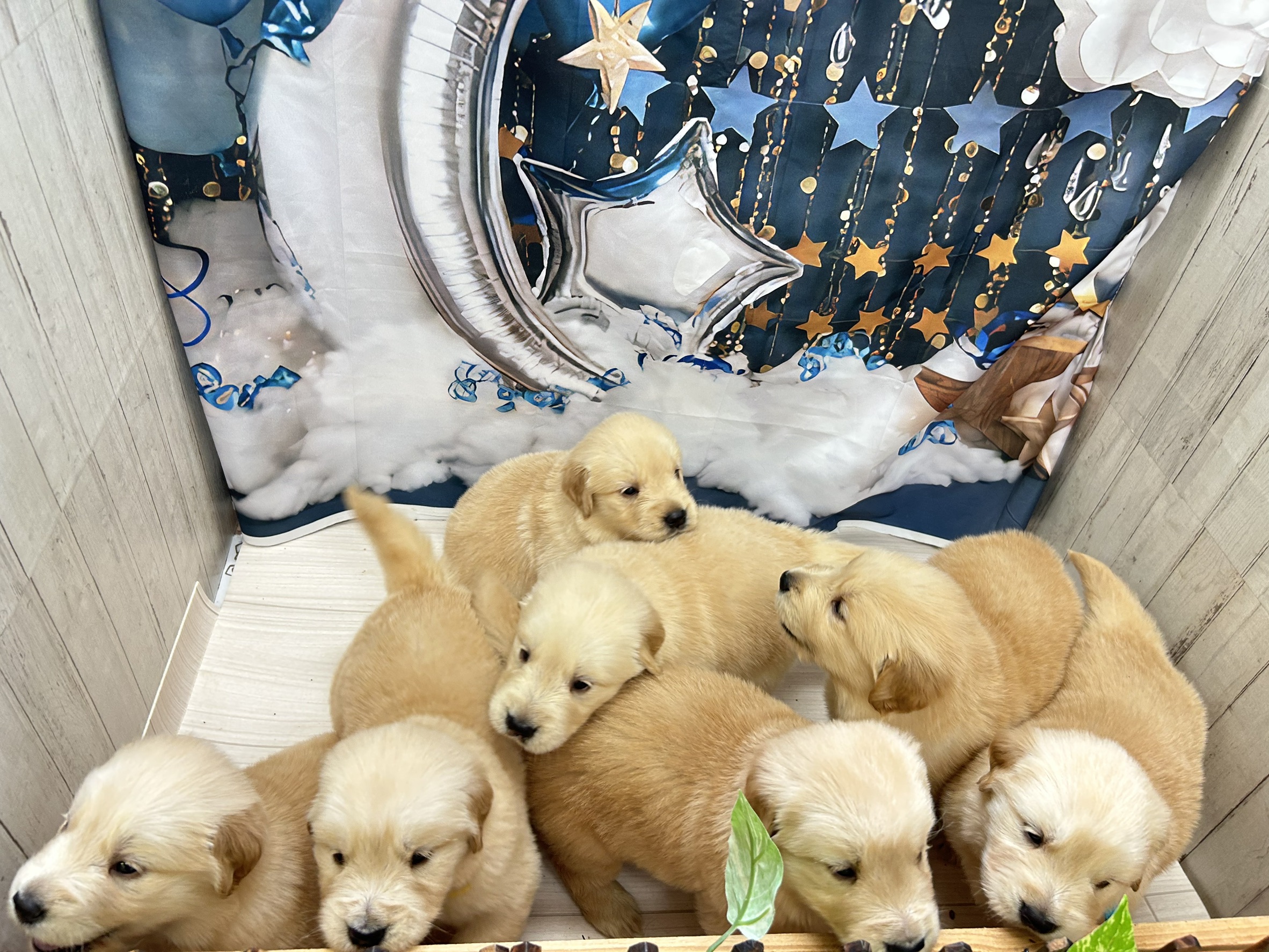 赤ちゃん写真2-3