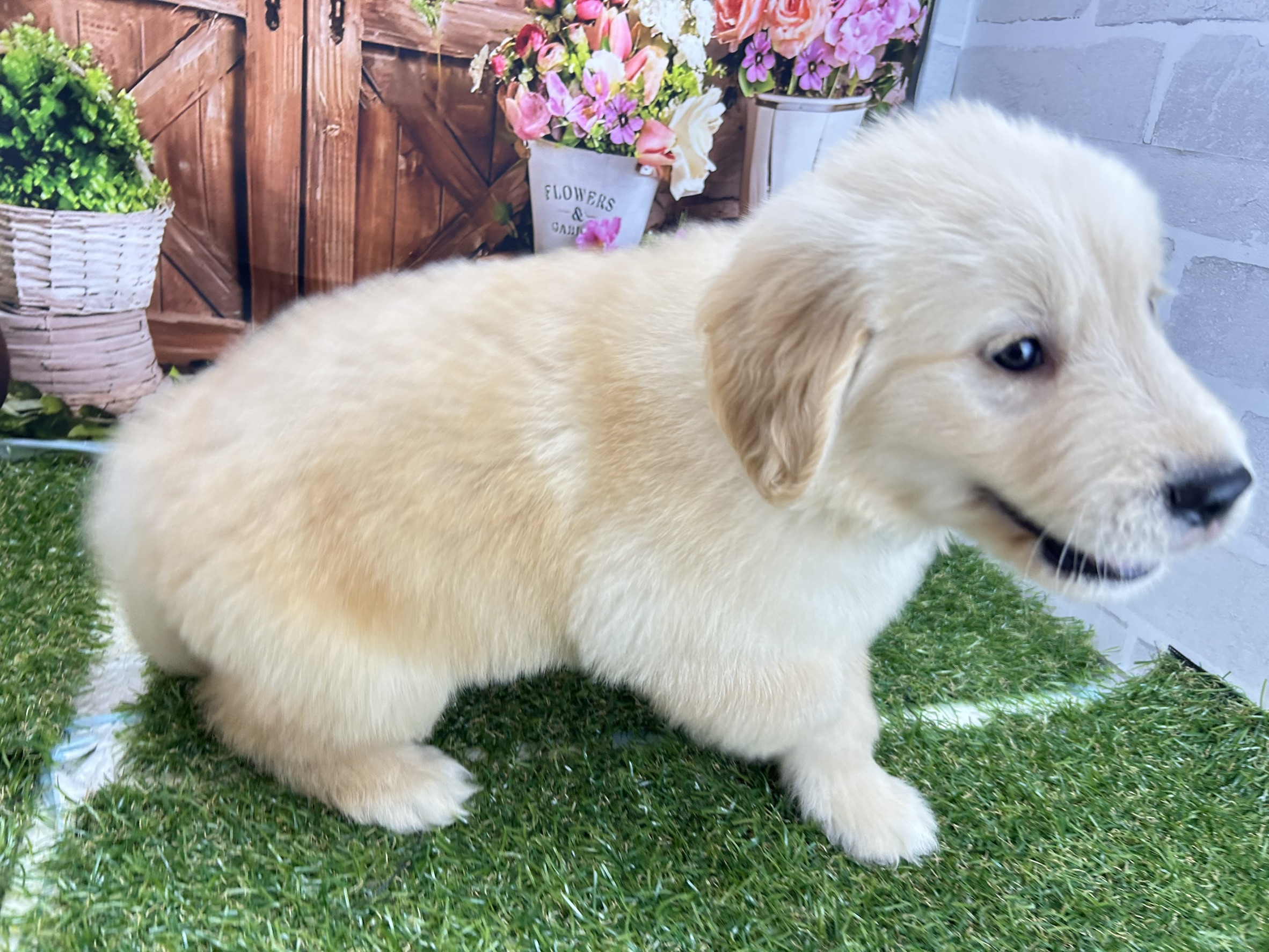 赤ちゃん写真3-2