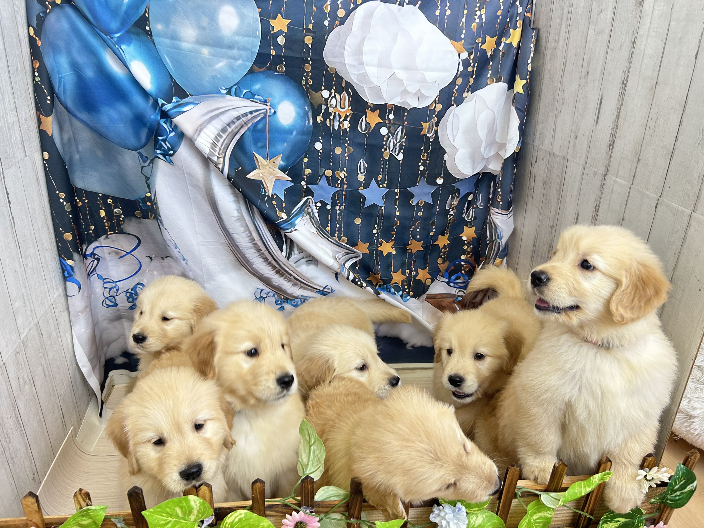 赤ちゃん写真3-3