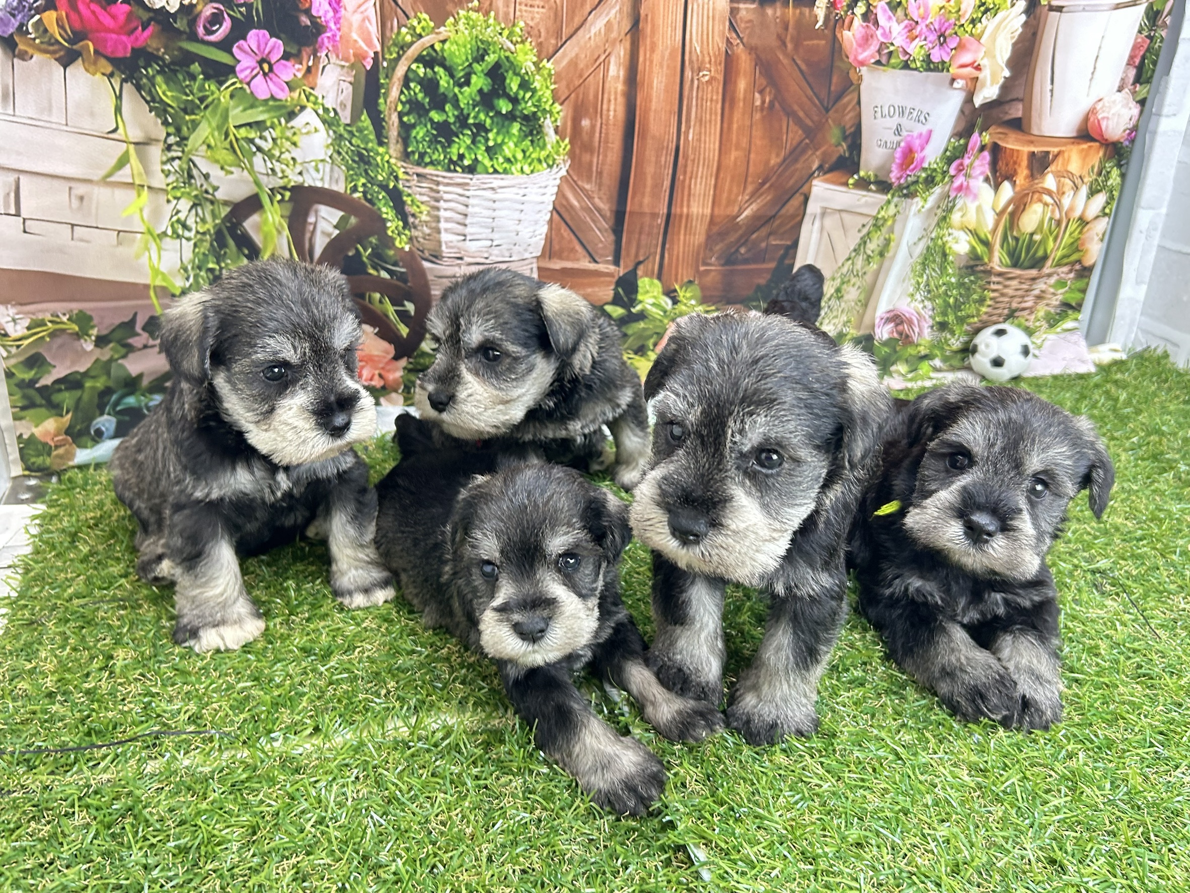赤ちゃん写真1-3