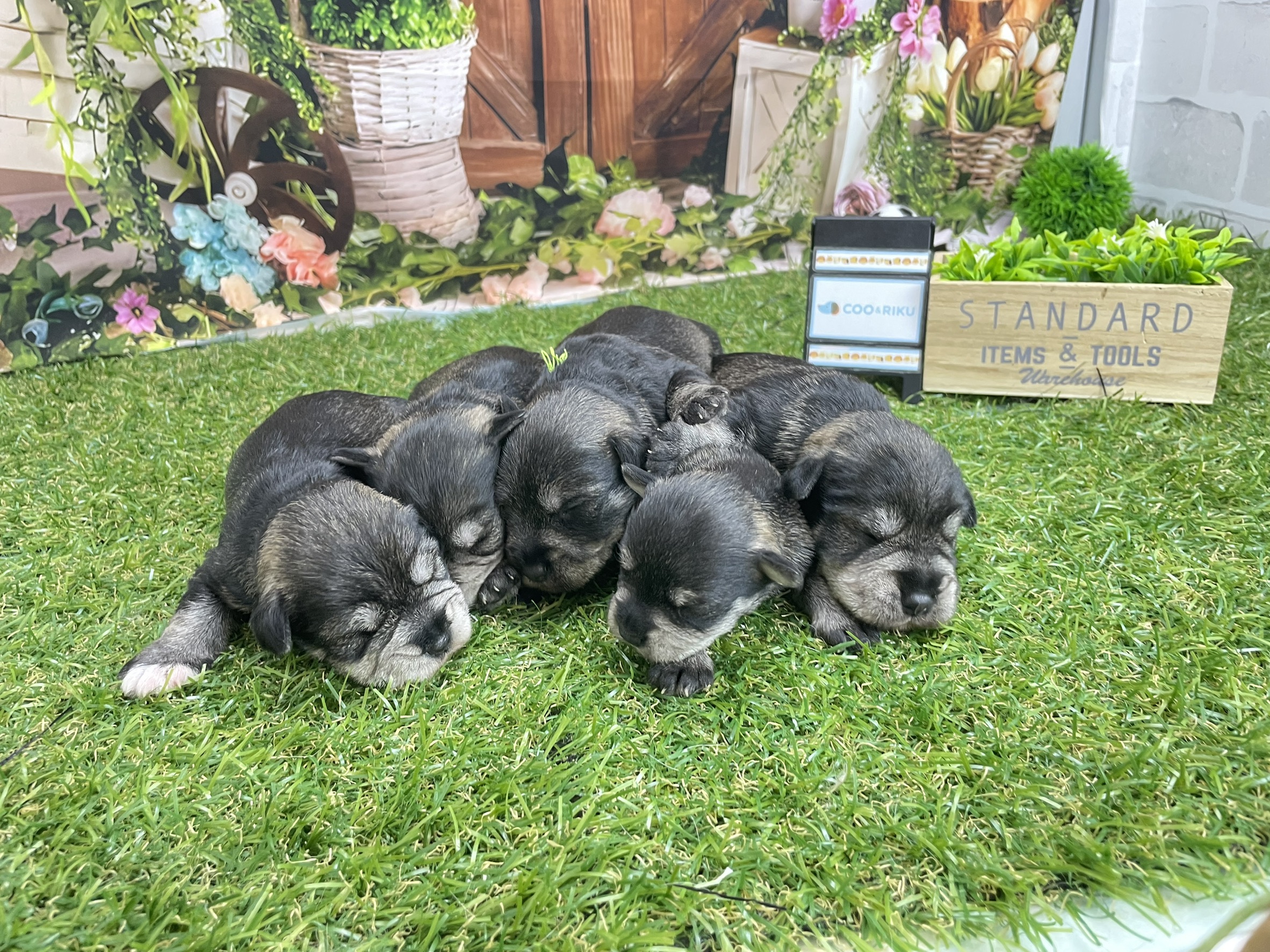 赤ちゃん写真1-3