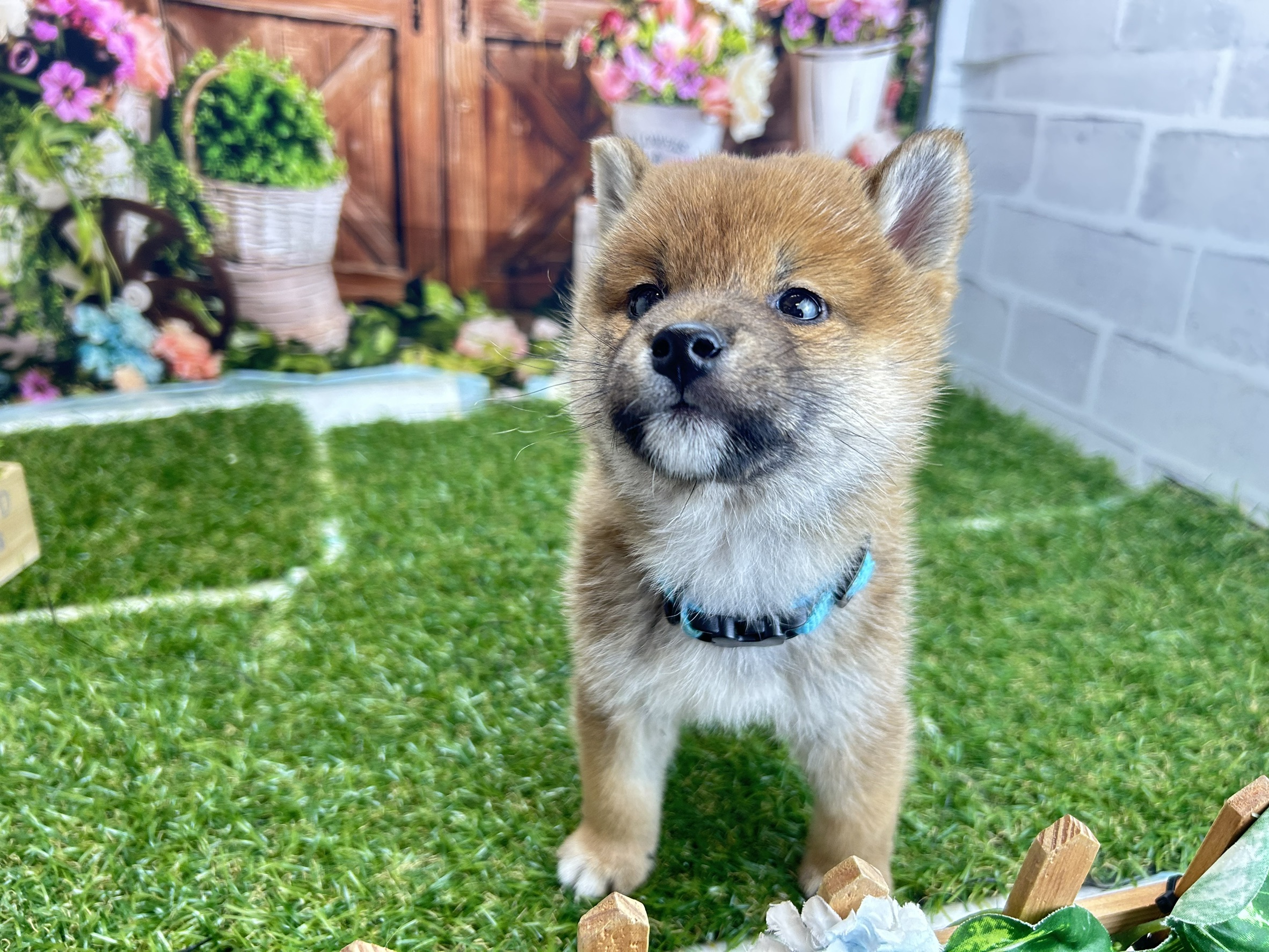 赤ちゃん写真3-1